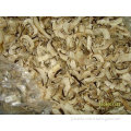 Air dried mushroom slice